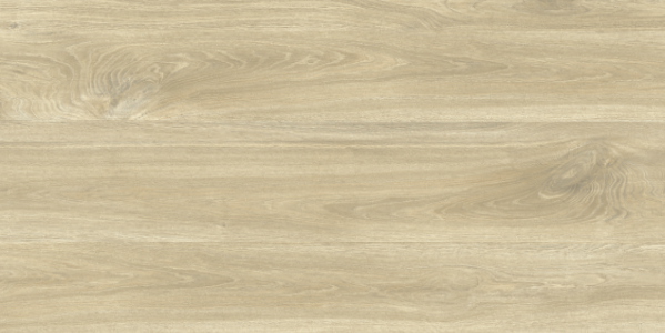 GRS11-17S Ajanta Ash 120x60 Gresse