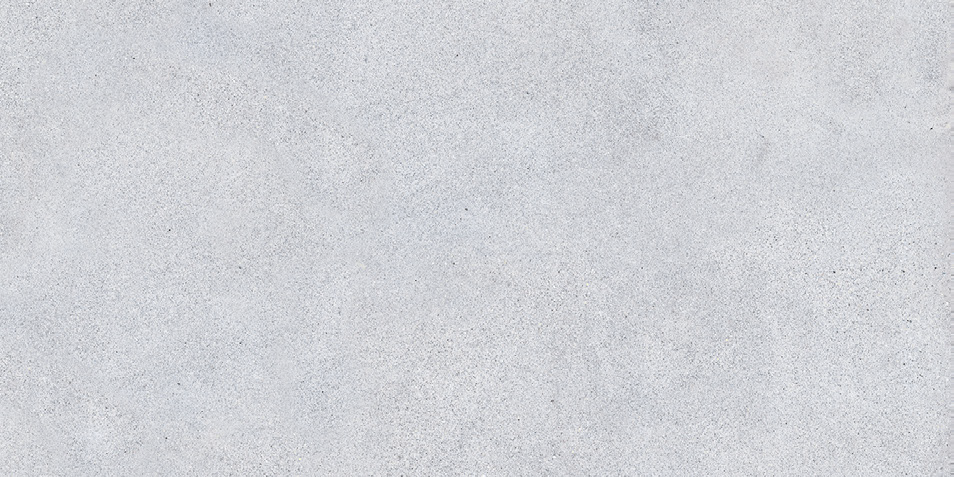 NR207 Maderas Light Grey 60x120 PrimaVera