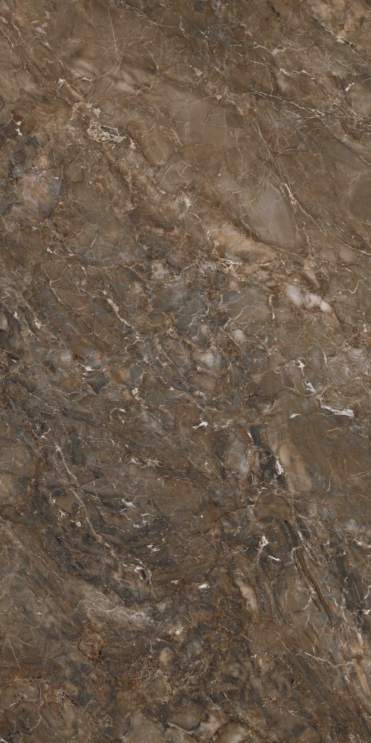 BR04 Bernini Dark Brown Неполированный Рект. 60x120x9 Estima фото 12