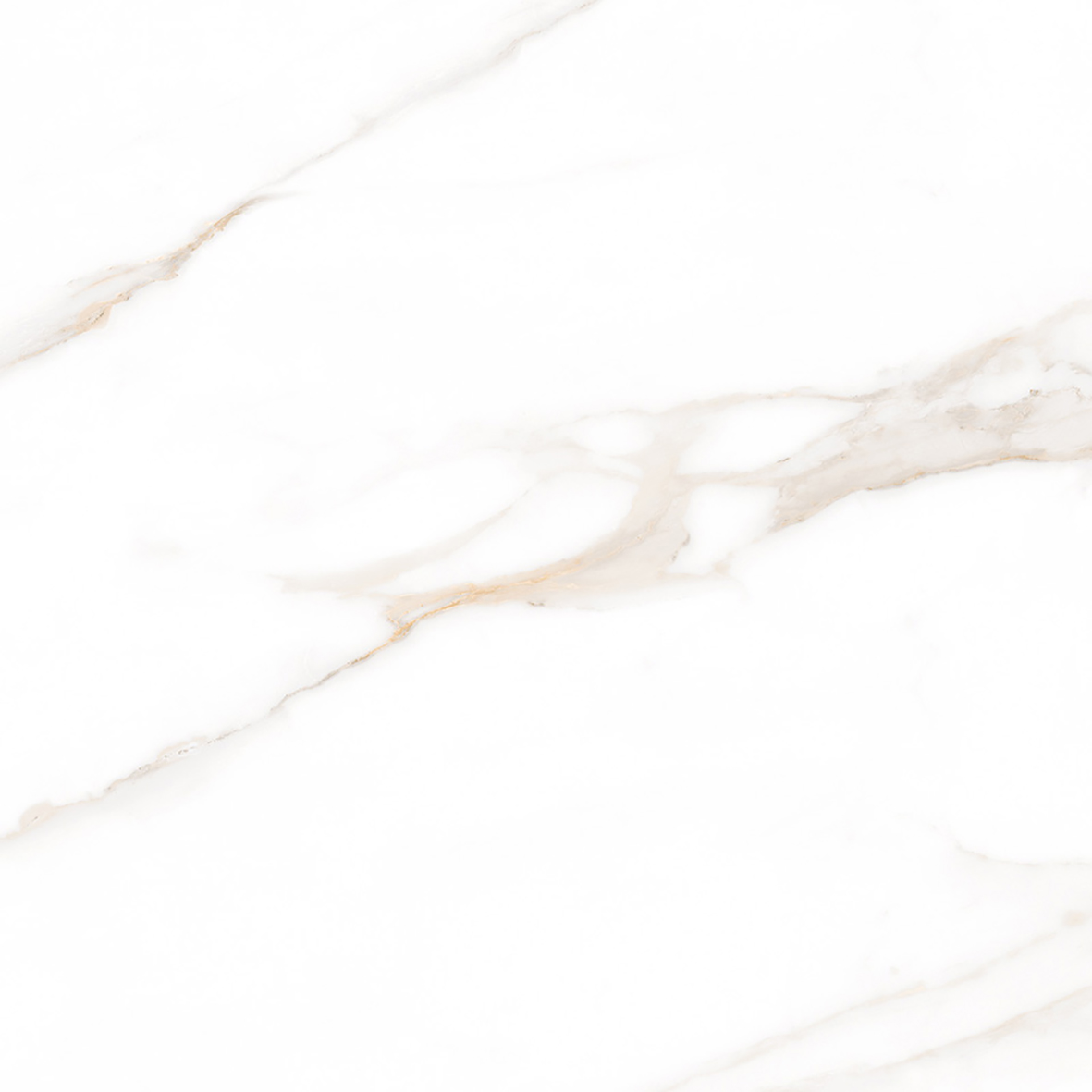 Calacatta Regal Gold Белый Матовый 80х80 Ceradim