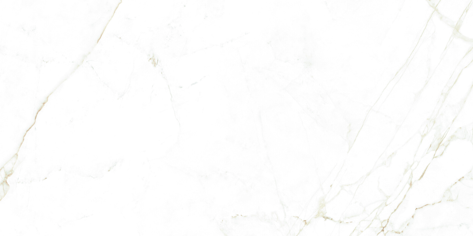 38712 Dual White NT/60X120X0,9/C/R 60x120 Peronda фото 26