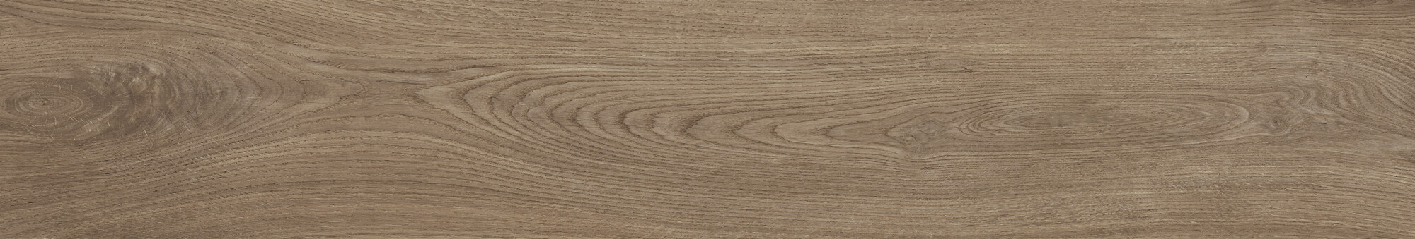 41729 Bloom Cognac SP/24x151x0,9/R 24x151 Peronda