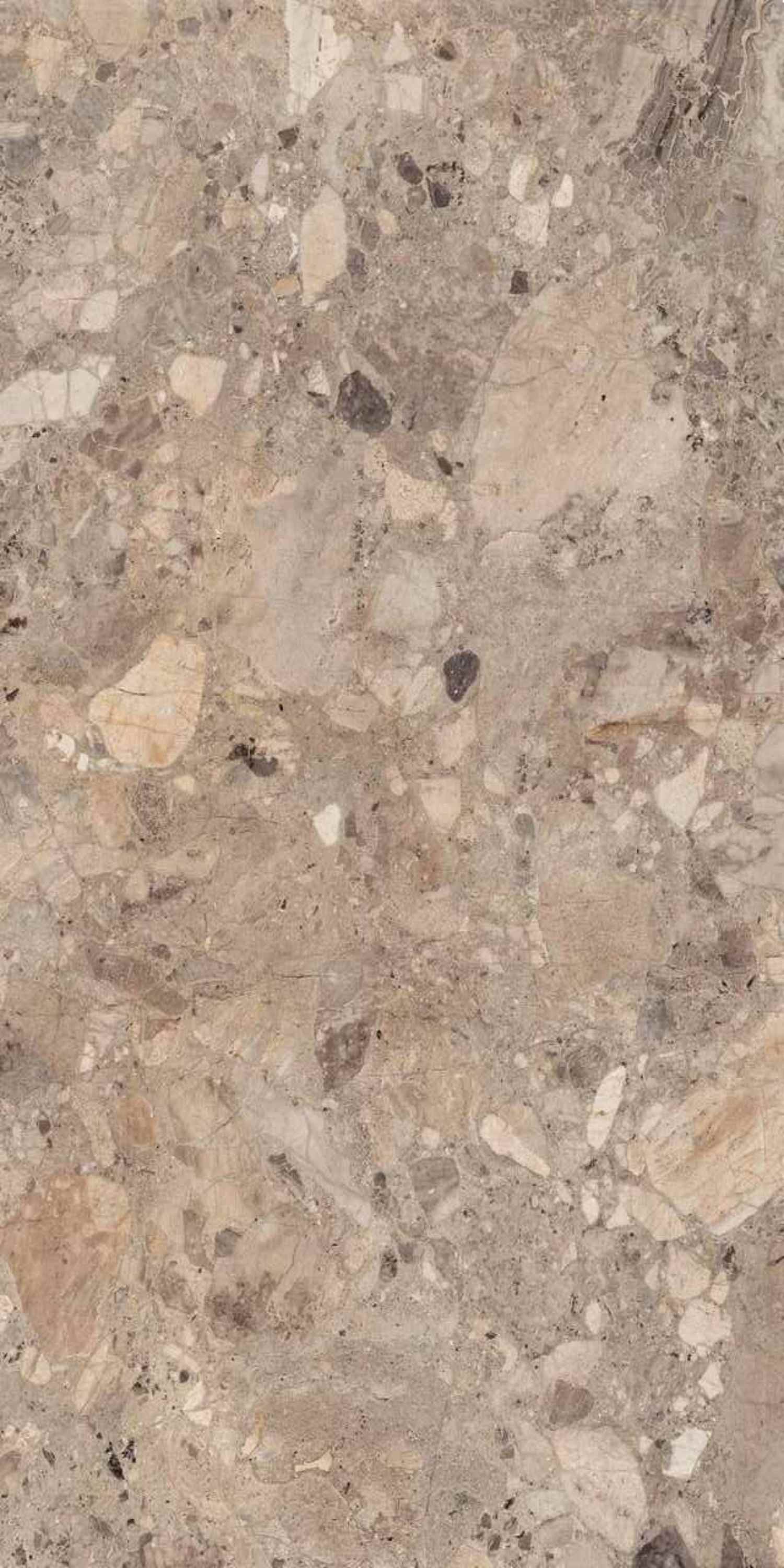 Clio Natural Deck 60x120 BELLEZA фото 4