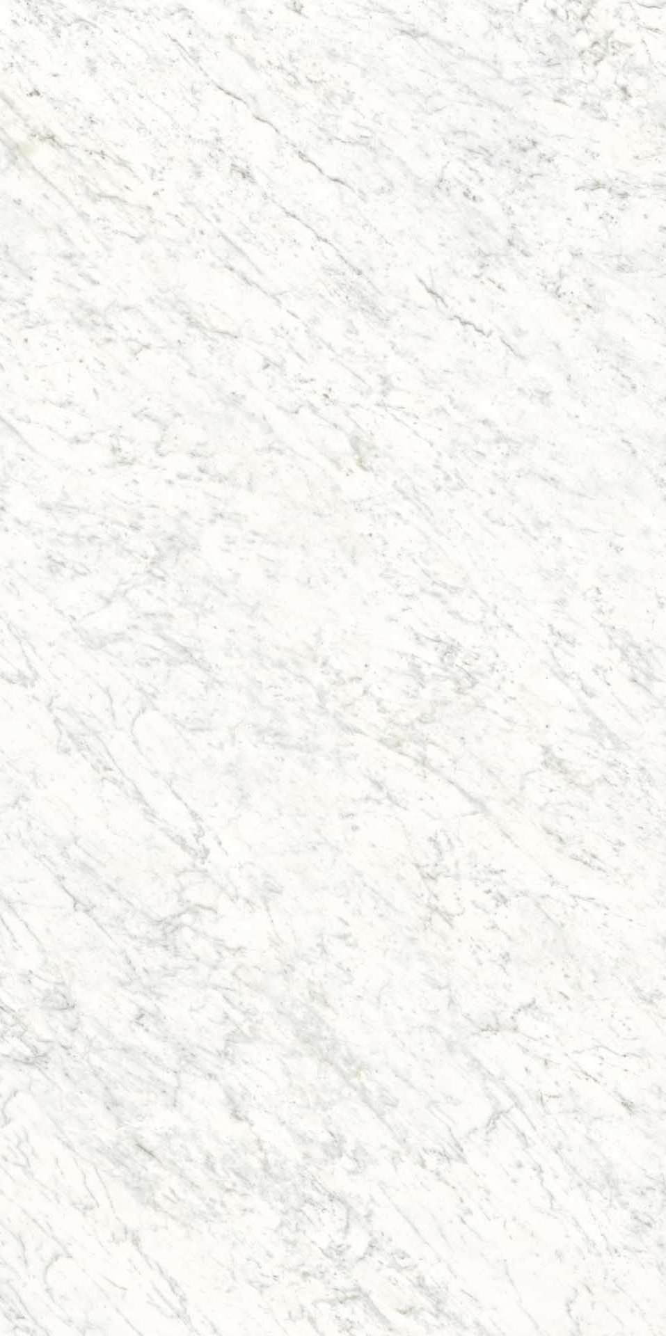 L315339MF6 Veined White Luc 150x300 IRIS FMG