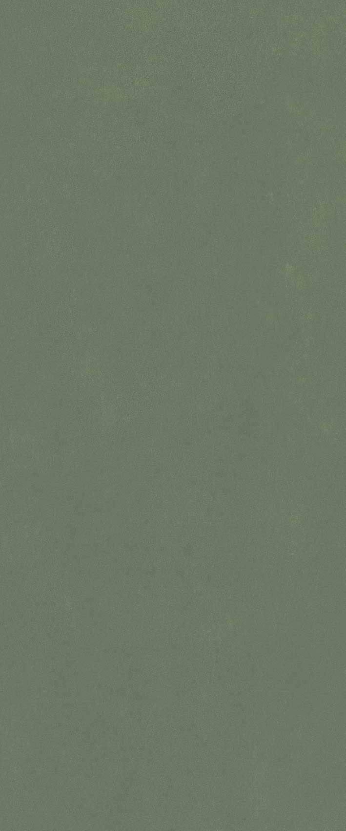 600010002445 Серфейс Форест Грин Рет 50x120 Italon