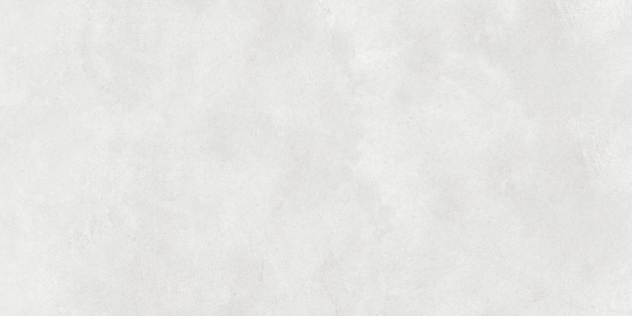 N12610 Concrete White Matt 60x120 Neodom