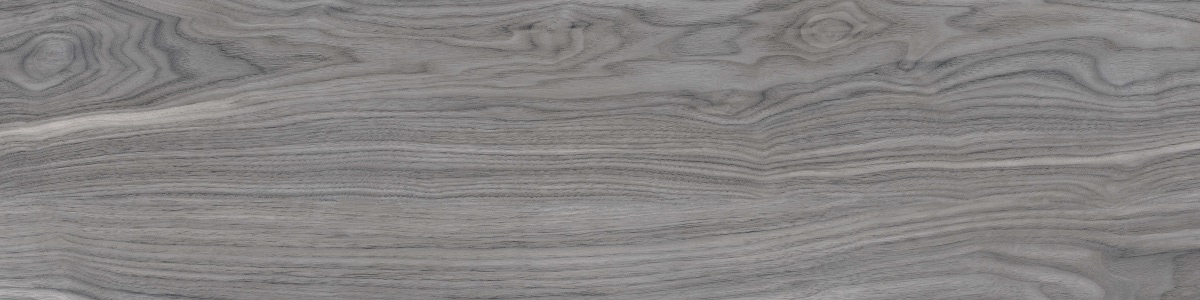 WD12 Forest Grey 20x80 PrimaVera