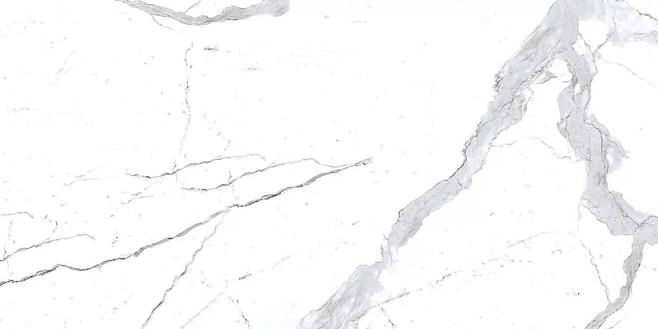 STATUARIO PULIDO R 60x120 Magnifica
