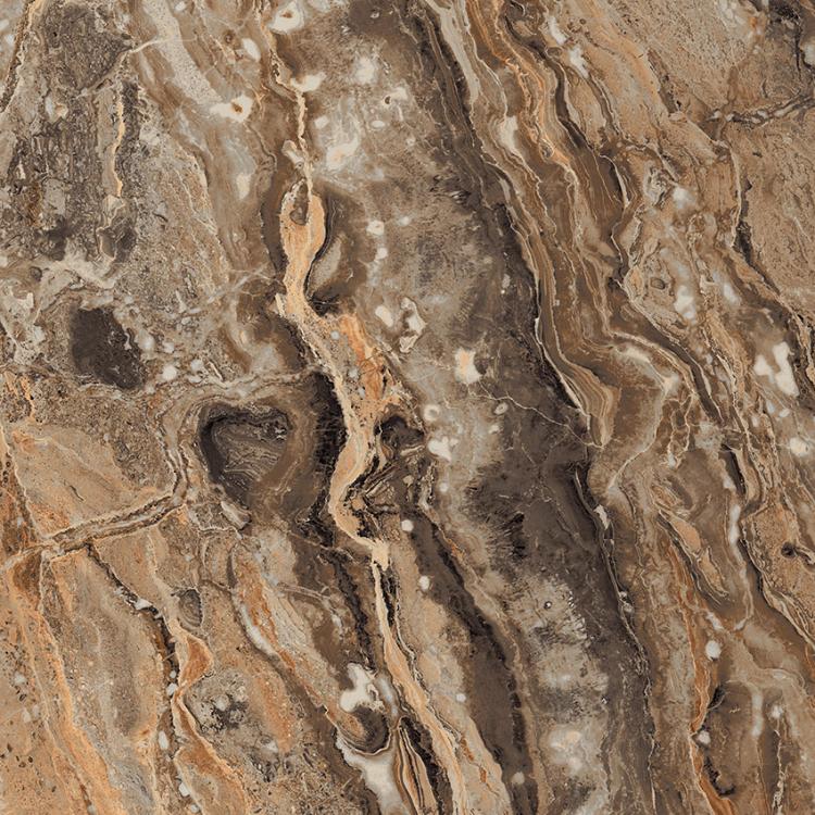 GR104 Richter Brown High glossy 600x600 PrimaVera