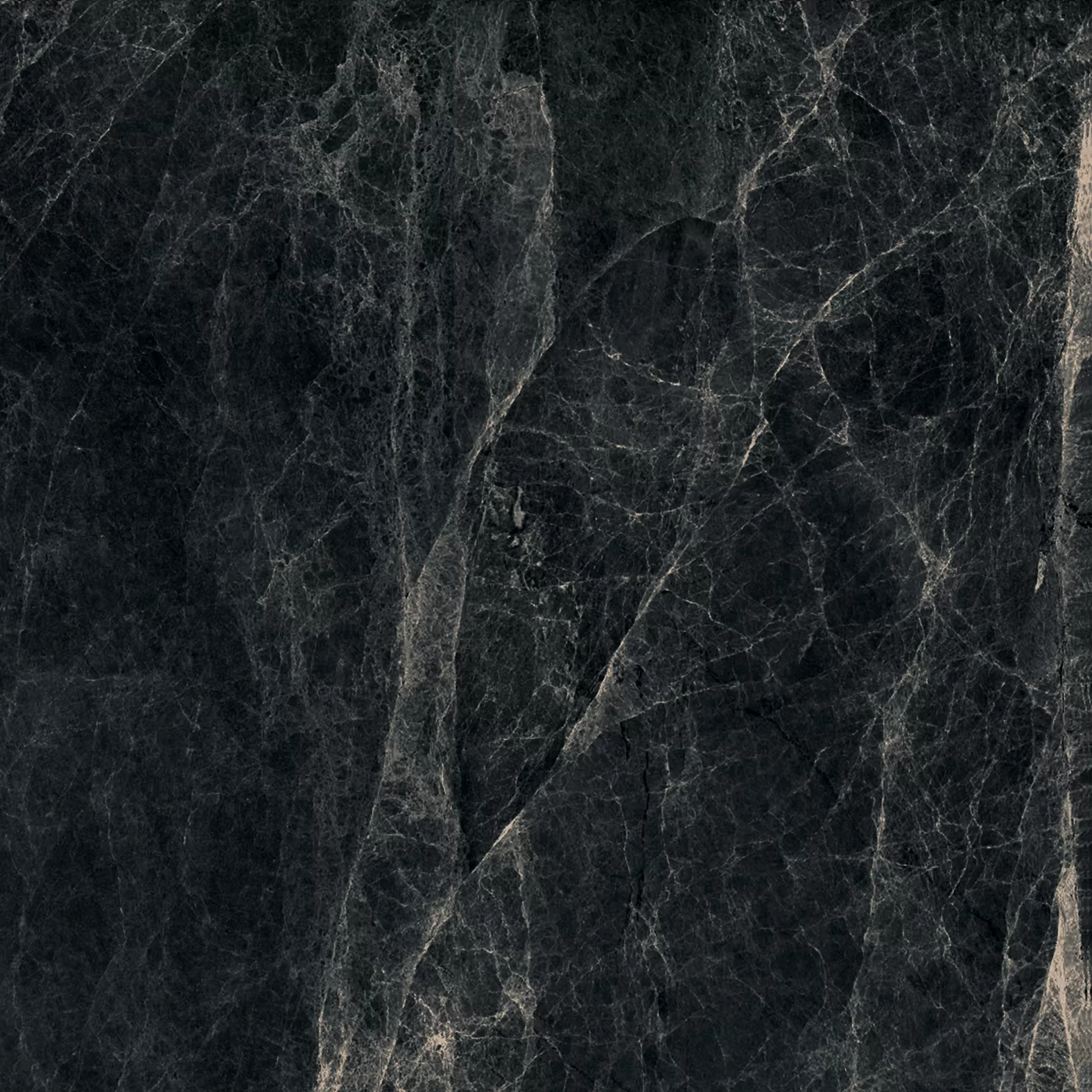 Worner Black sugar lapp. 60x60 Bluezone фото 3