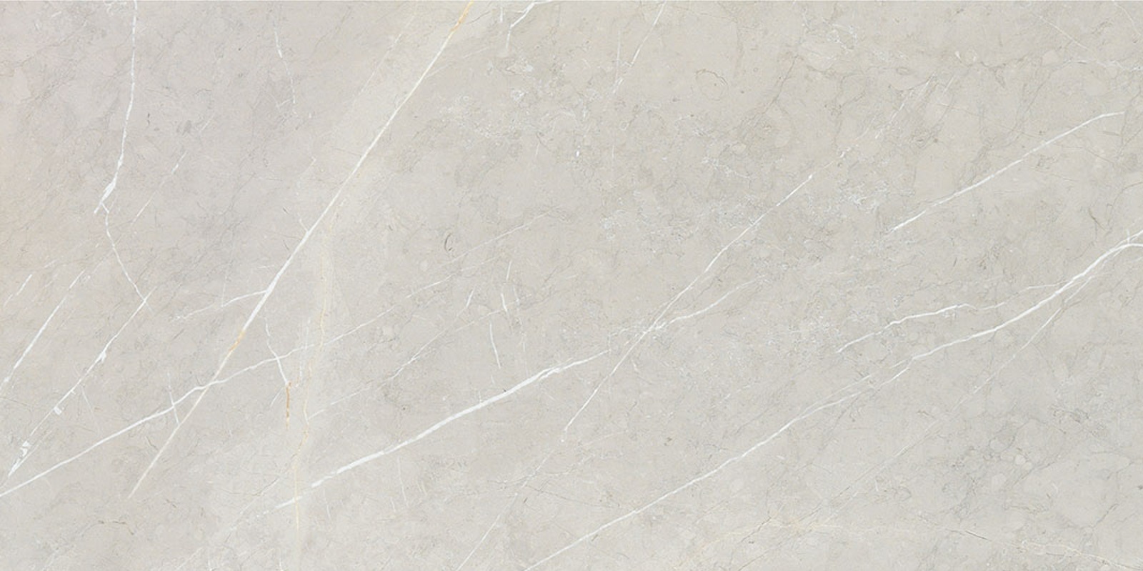 BB612NTT9101P Bright And Shiny 60x120 NT Ceramic