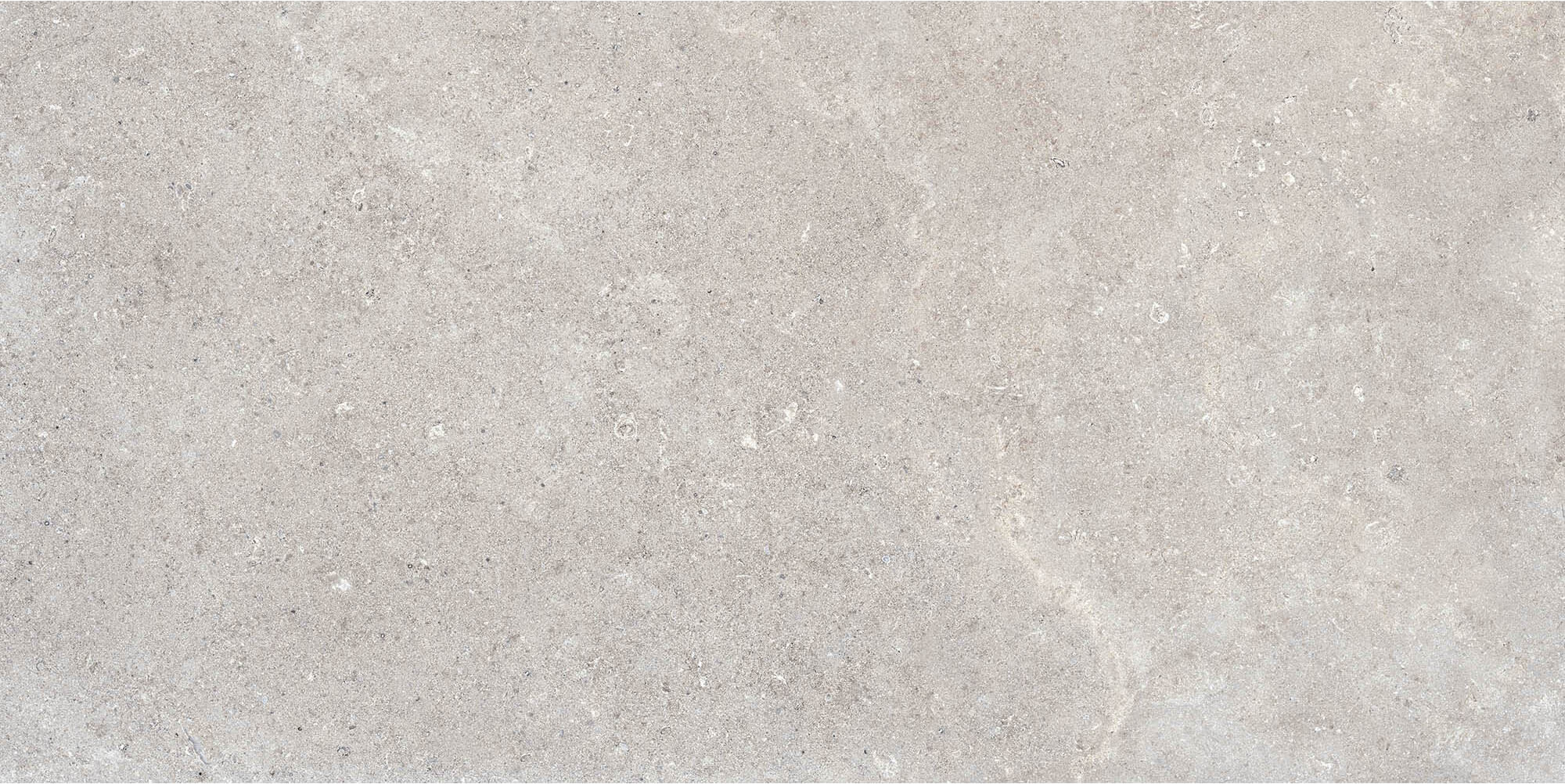 RB92 Coquille Gris Matt-Pro Rett 60x120 Refin