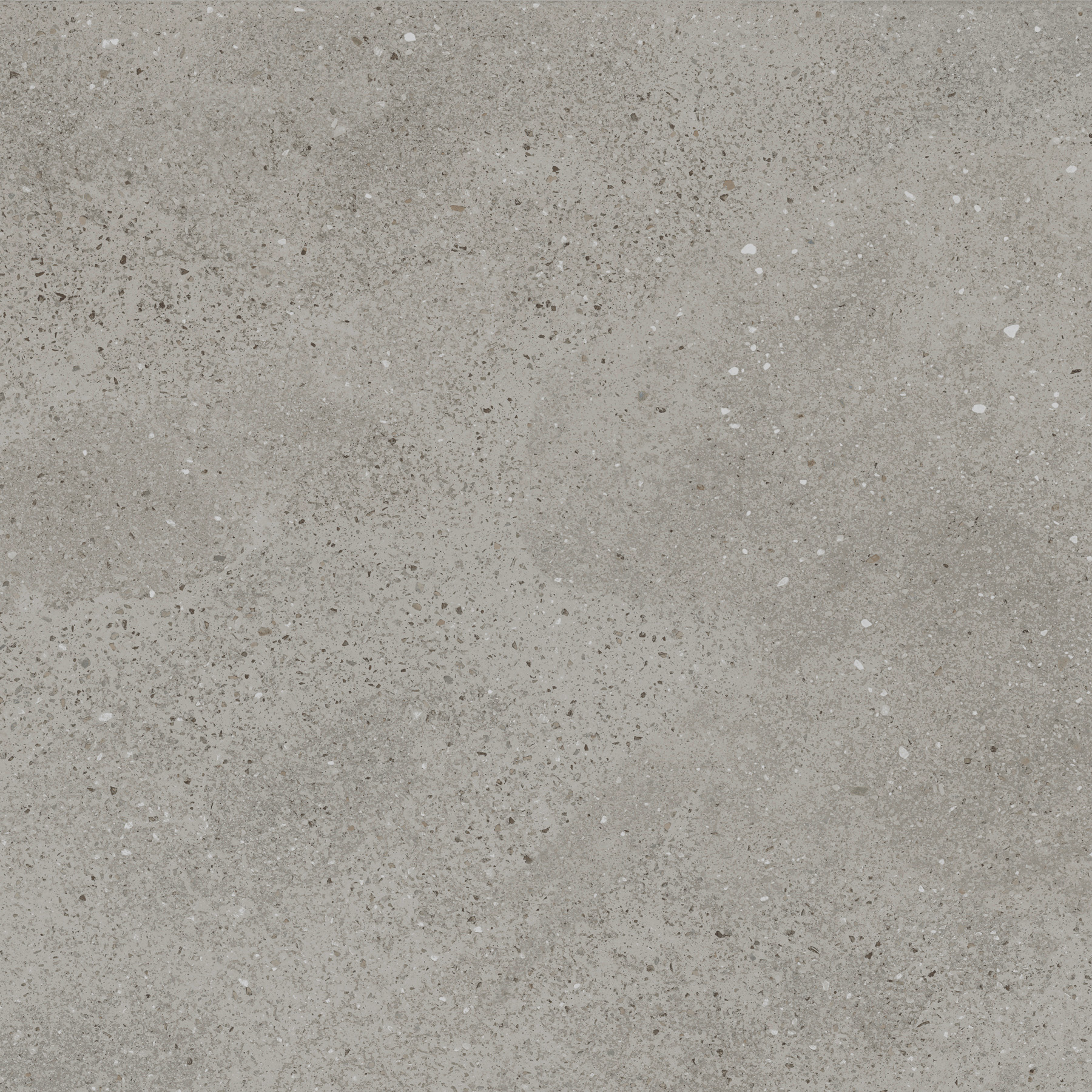 EX-204 Treviso Gris Матовая рельефная R11 60x60 Creanza фото 2