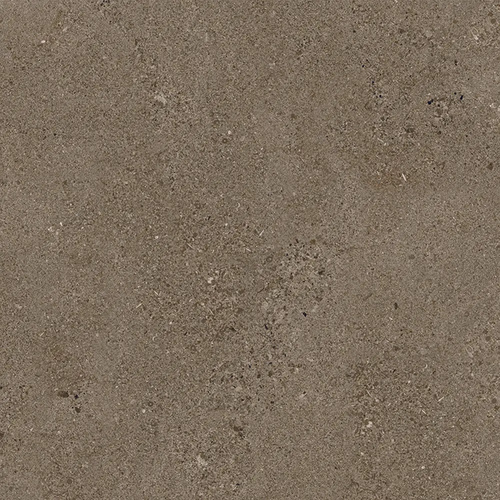 GNR0208-S Антиб Бежевый темный Sugar 600x600x9.5 ProGRES Ceramica фото 4