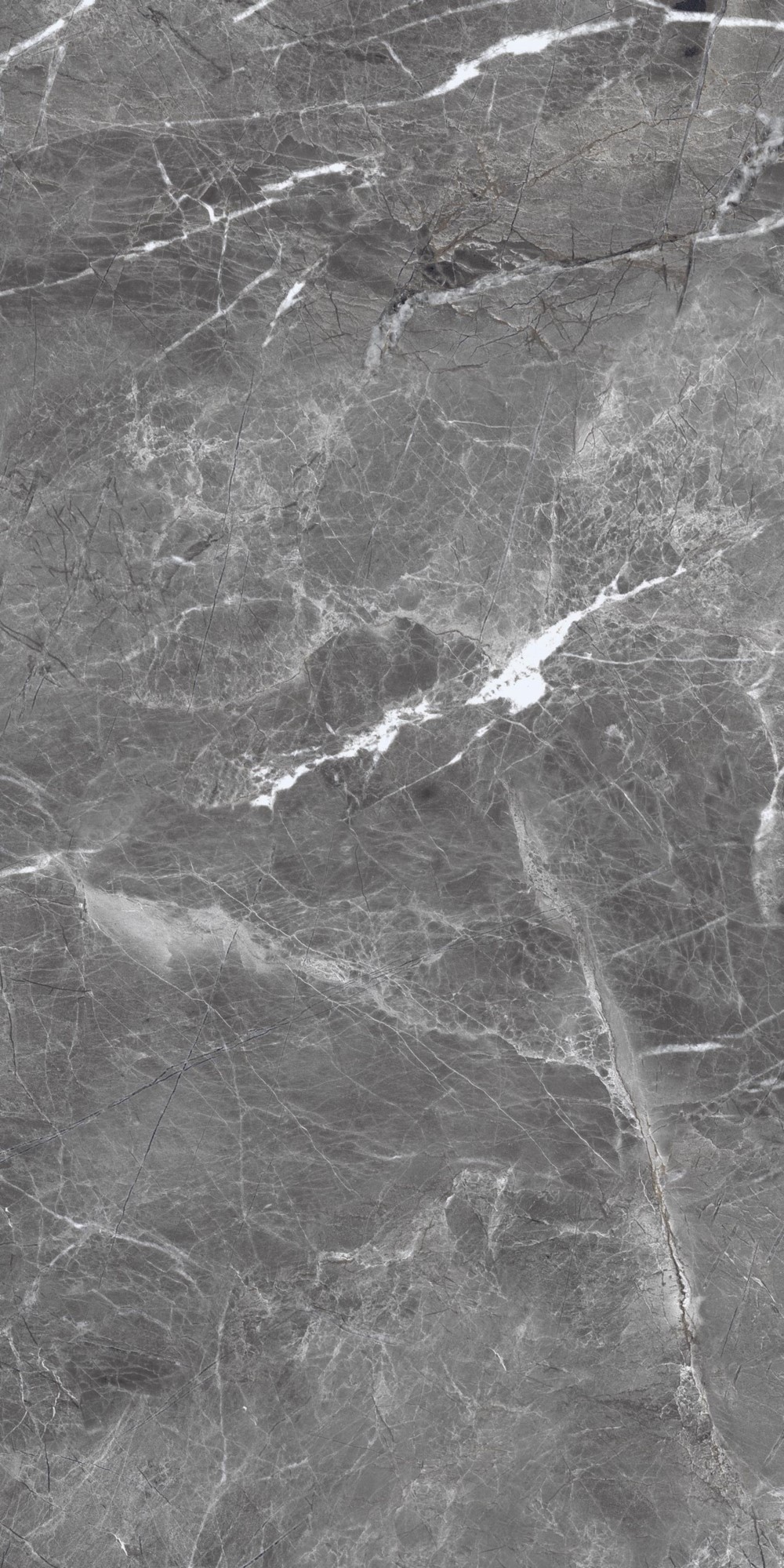 Shadow Dark Grey Polished 60x120 Realistik