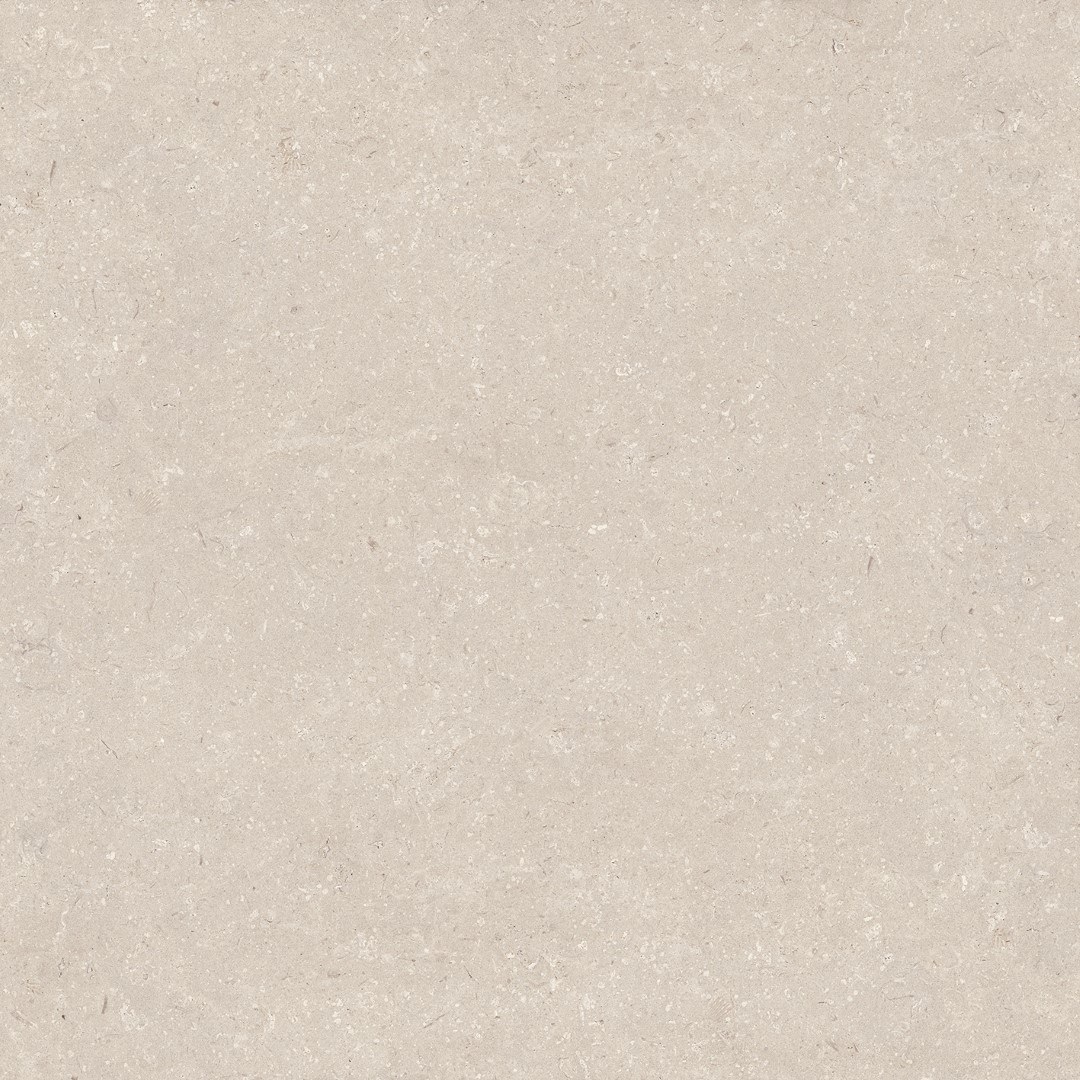 100330176 Coral Caliza L 120x120 Porcelanosa фото 8