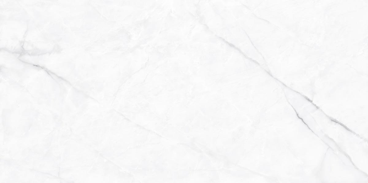 N130008 Calacatta Fantasy Polished 60x120 Neodom фото 3