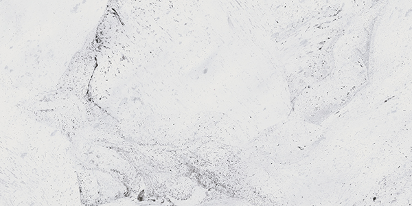 Inverno white 01 30х60 Gracia Ceramica
