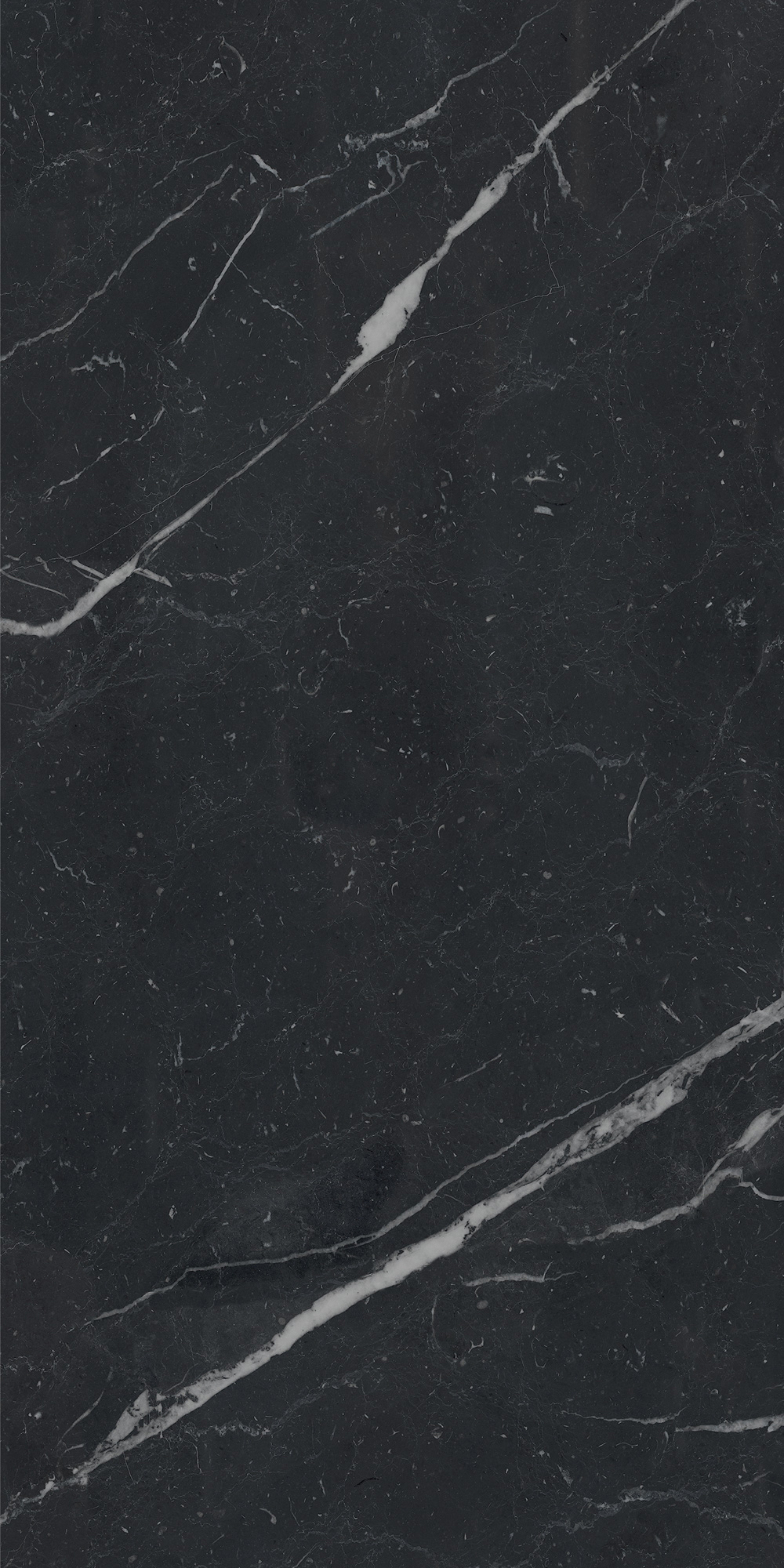 AGB7 Unique Black Luc 60x120 Caesar фото 3