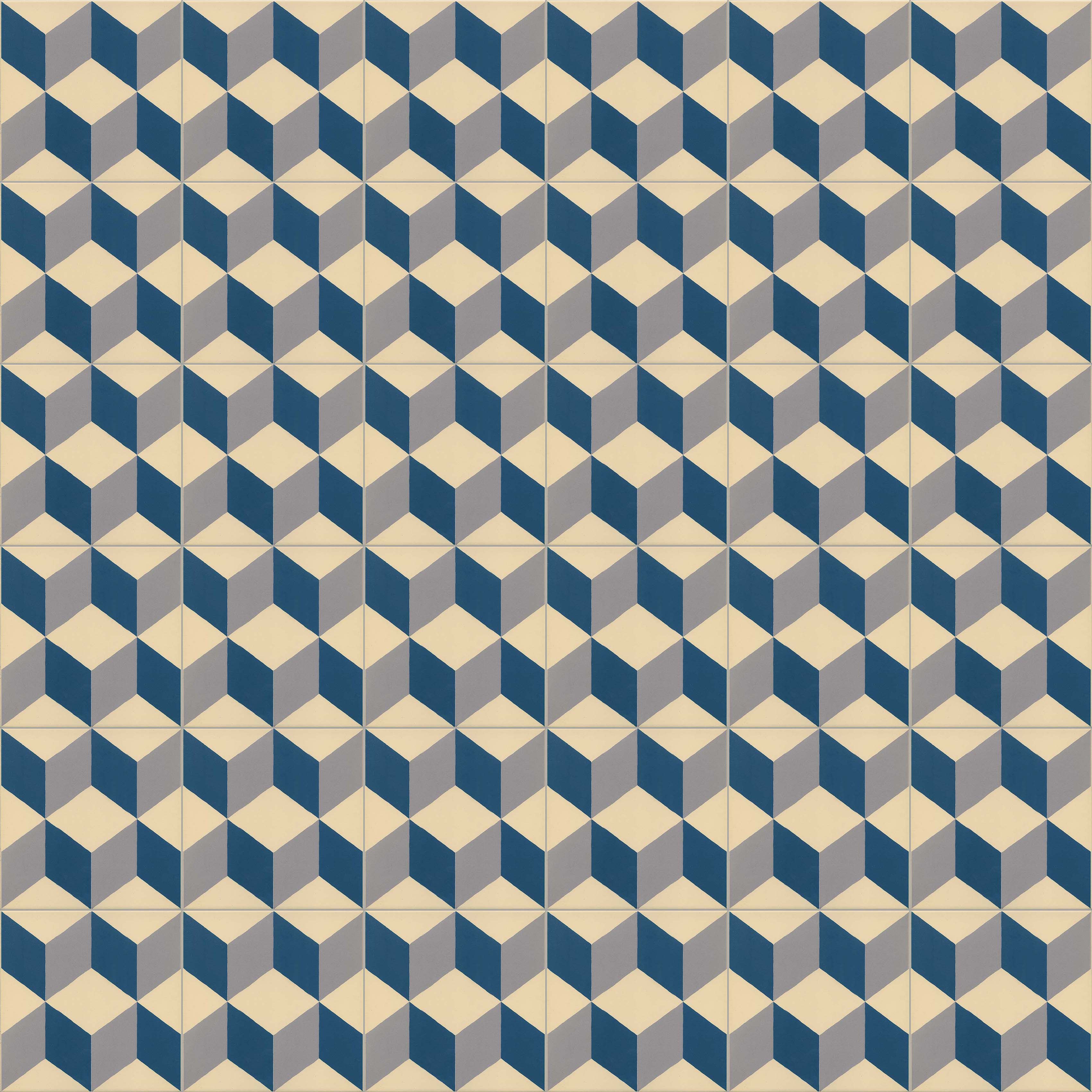Guell-1 g.138 20x20 VIVES