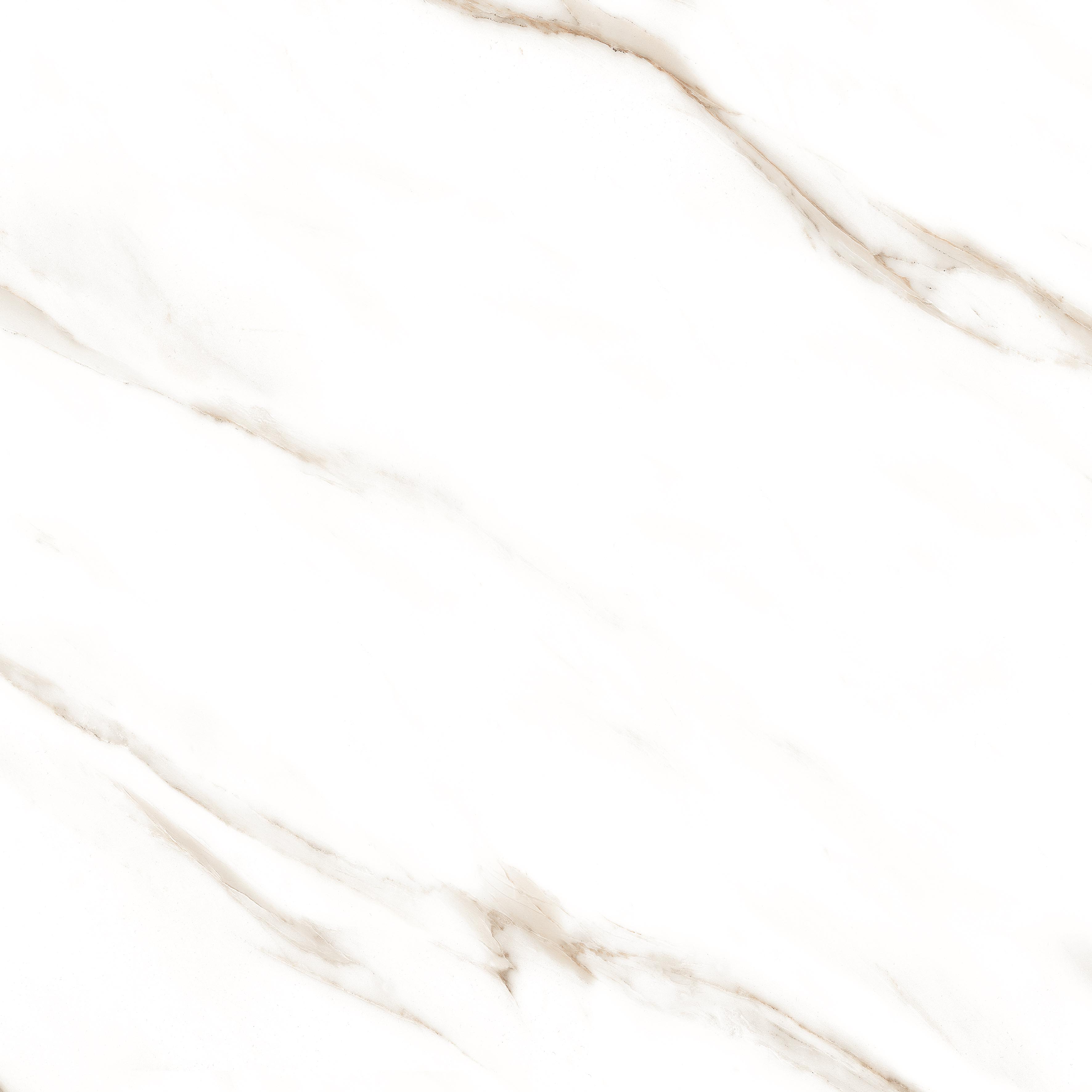 Statuario Brown Glossy 60x60 Modern Tile