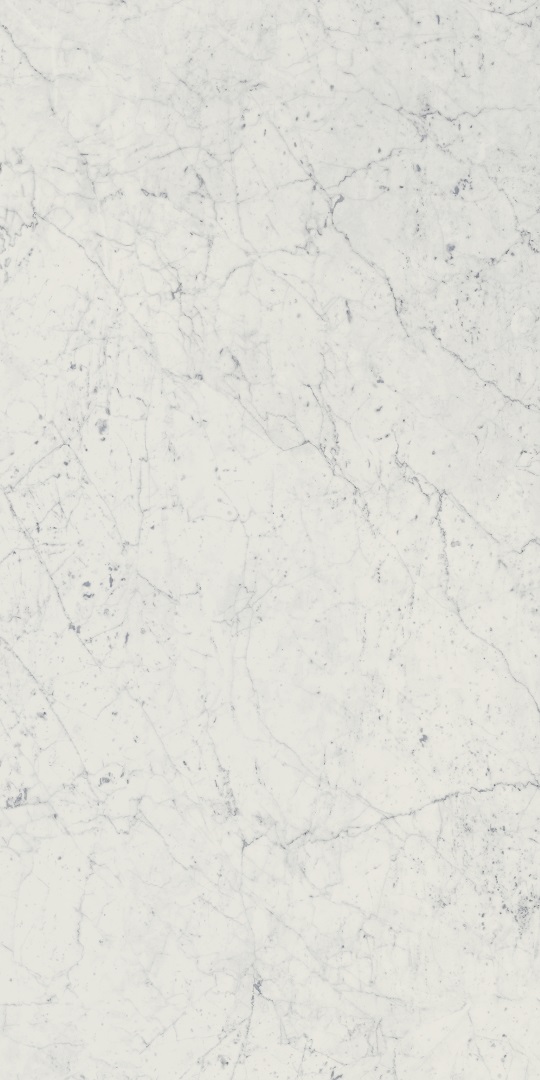 610010001194 Charme Extra Carrara Nat Ret 60x120 Italon
