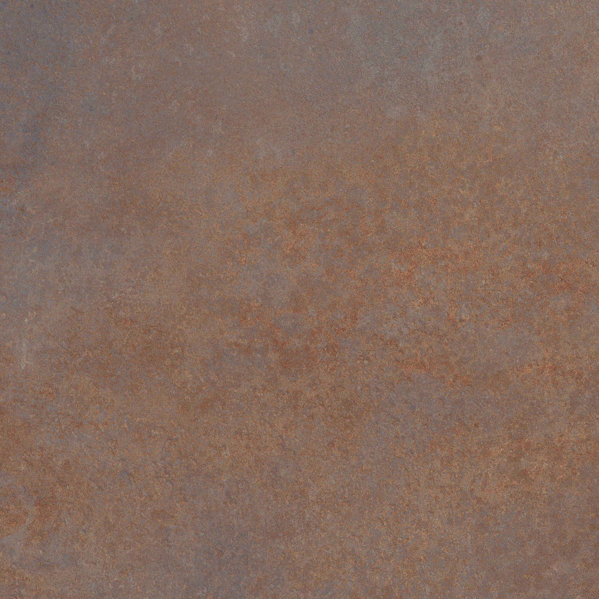 Enrich Brown Rustin 20mm 60x60 Alpas Euro