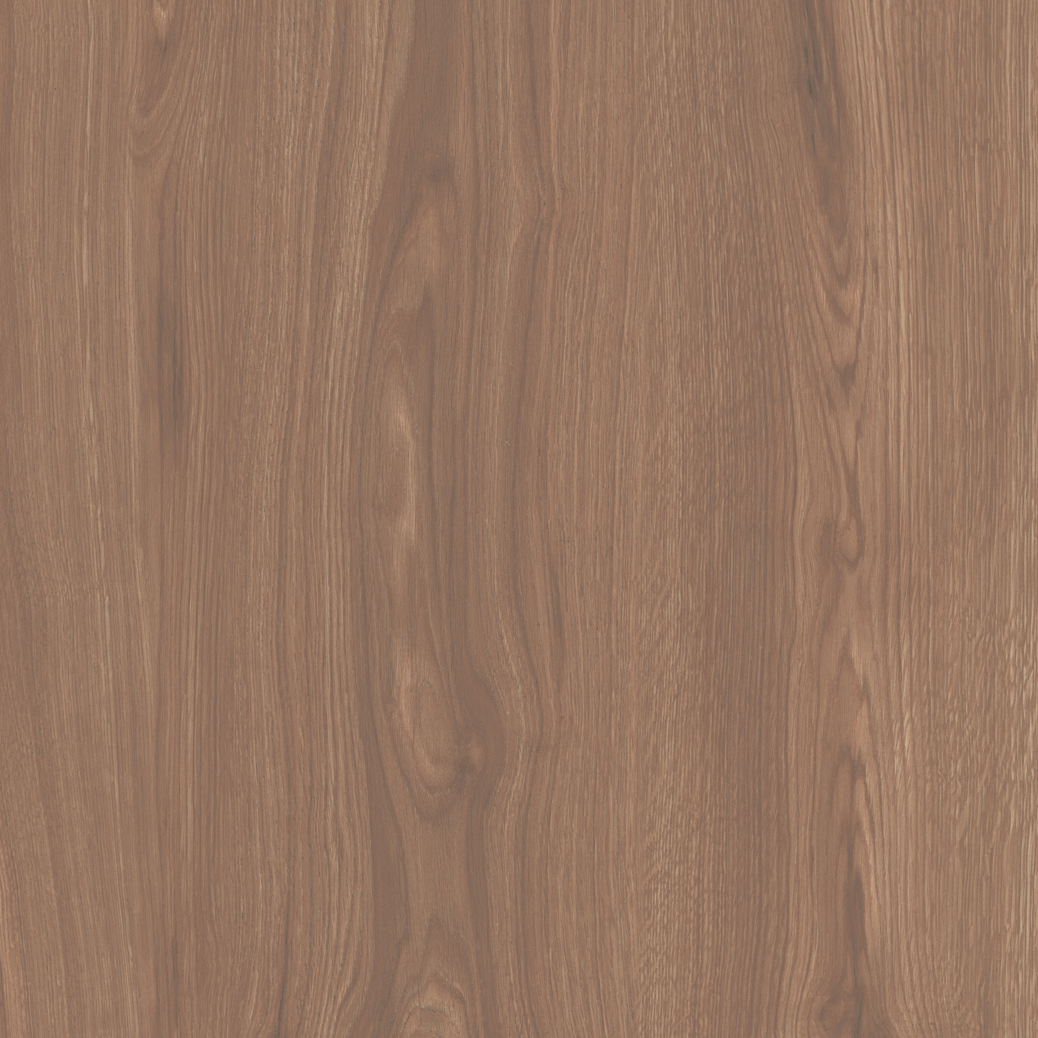 SG644020R Альберони коричневый матовый обрезной 60x60x0,9 Kerama Marazzi