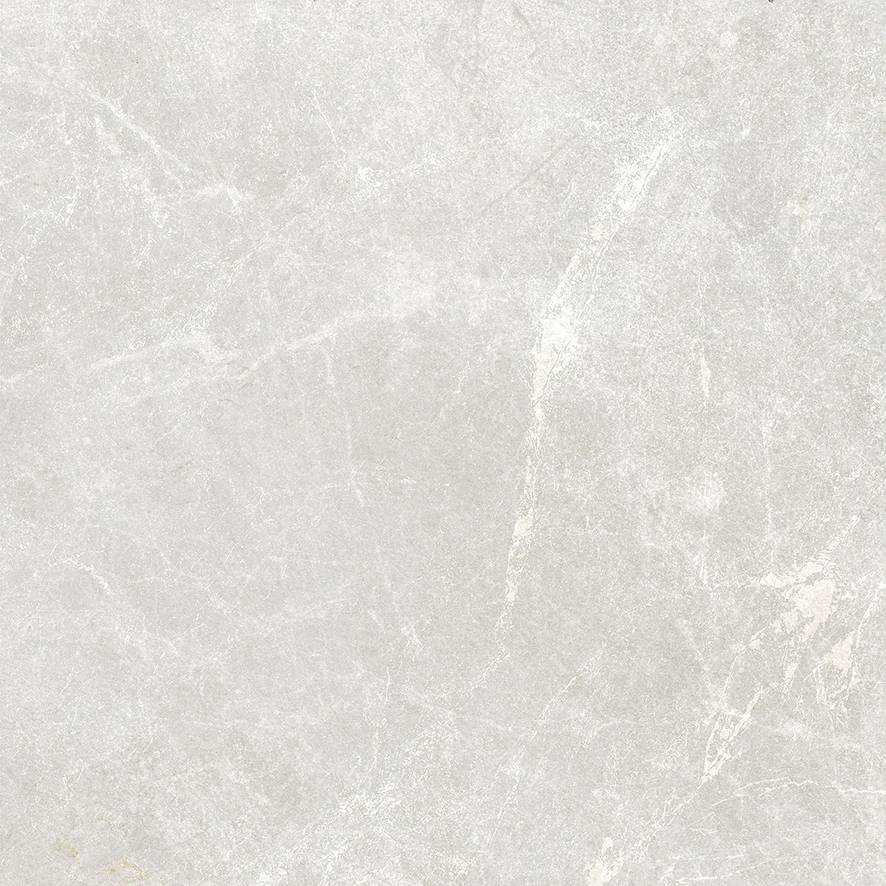 Rocky Bianco PRO светло-серый матовый R10GR 60х60 Laparet