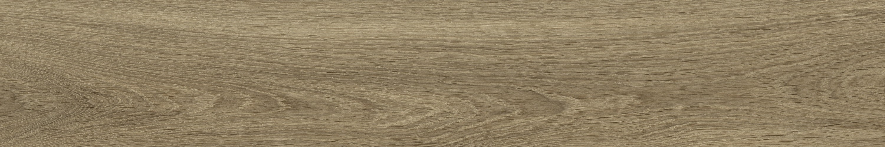WD106 Branch Taupe 20x120 PrimaVera