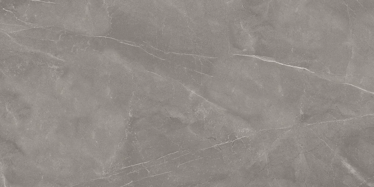 Armani Gris Glossy 60x120 Art Ceramic