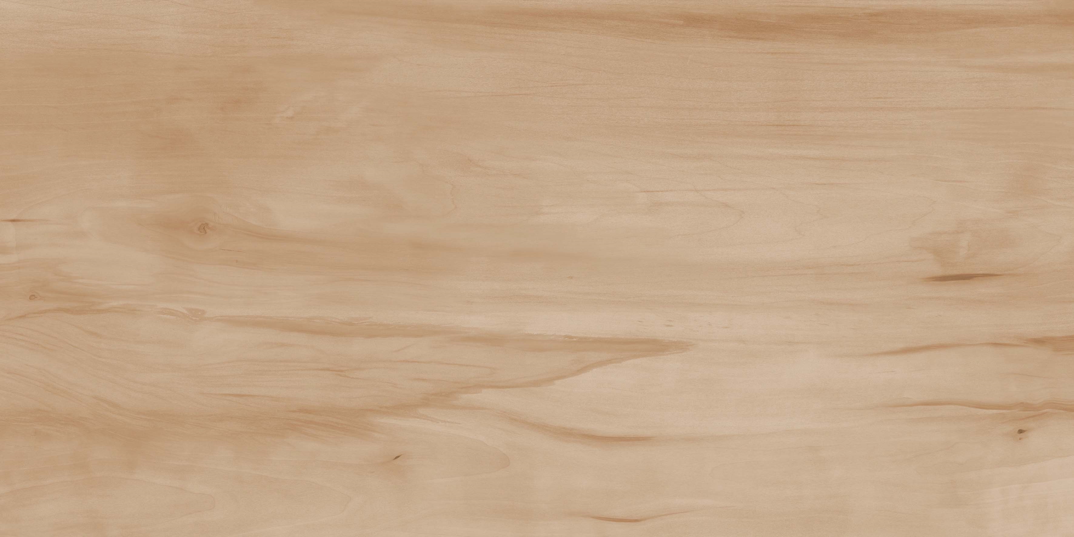 Paint Wood Bone Gloss 60x120 Realistik