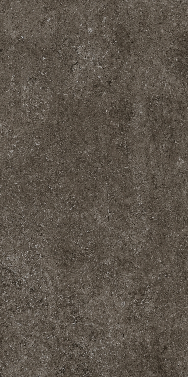 768328 Sensi Brown Fossil R+PTV Ret 60x120 Casa Dolce Casa