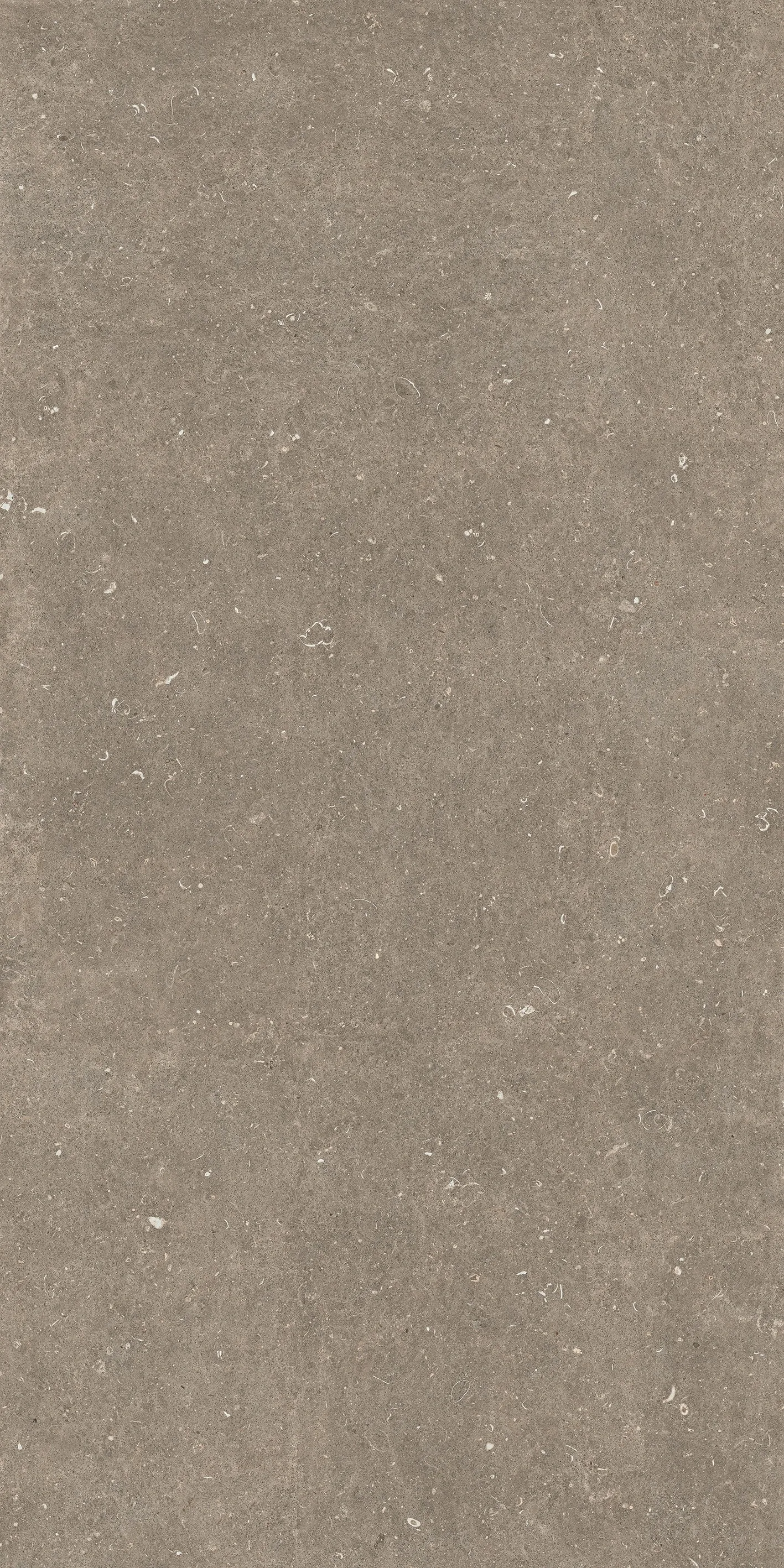 785584 Rinascenza Arena Pietra Matte 6mm 120x240 Casa Dolce Casa