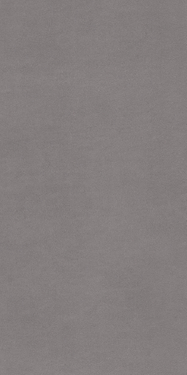 769427 Chimera Radici Grigio Mat Ret 6mm 120x240 Cedit