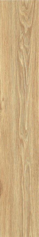 ZC 1223098 rect. 20x120 Bonaparte
