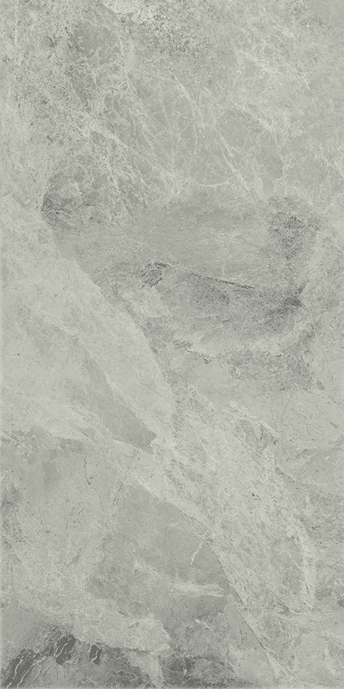 610015000358 Charme Extra Silver Nat Ret 30x60 Italon фото 2