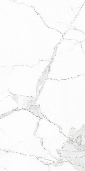 Feeling Statuario Carving 60x120 Realistik