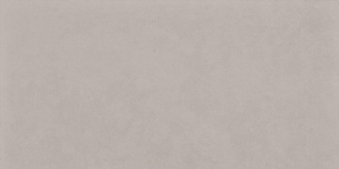 DAKSE654 grey 30x60 RAKO