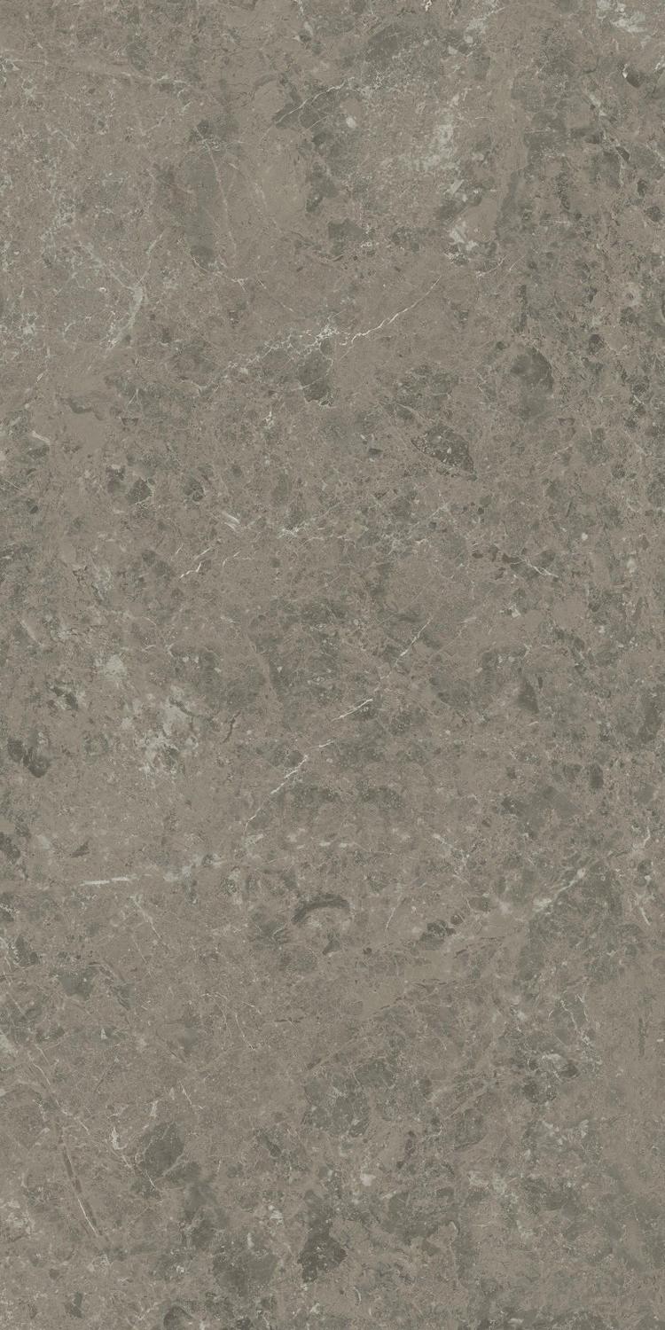 AJIU Marvel Meraviglia Grigio Elegante Matt 60x120 Atlas Concorde