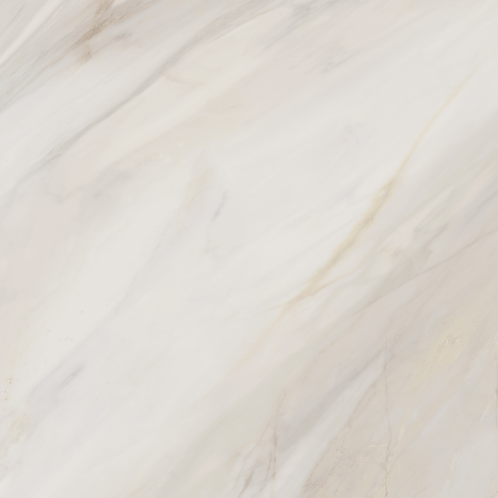 6060CAA01M Carolina Crema матовый 600x600x9.5 Delacora