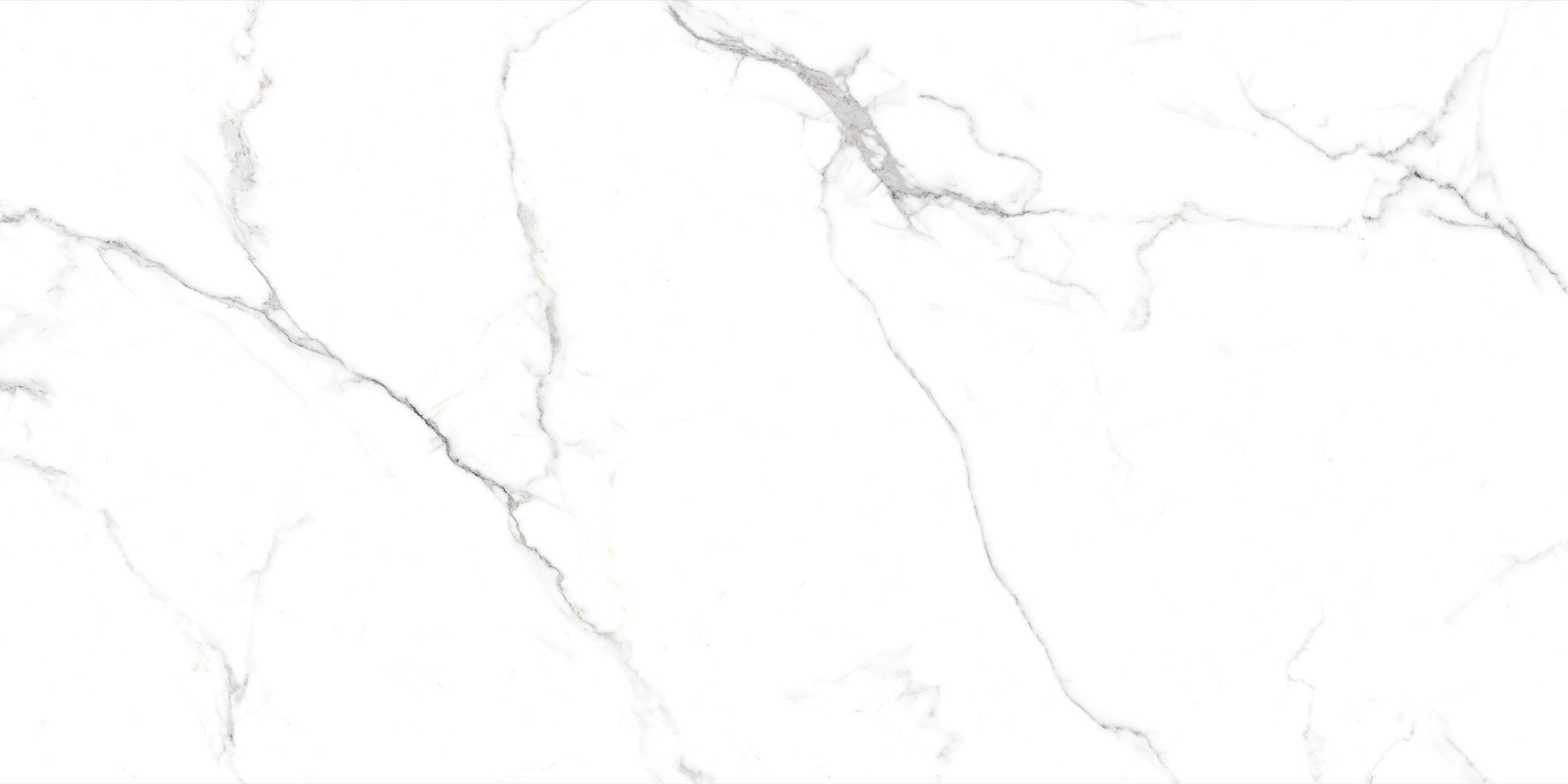 Сlassic Statuario PGVT 60x120 Casati Ceramica