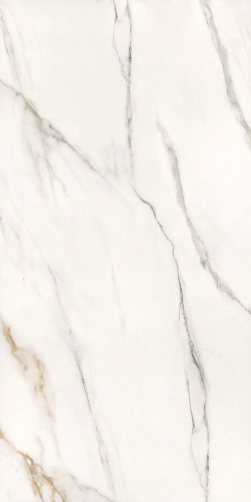 945 Calacatta Gold 60x120 Eurotile Ceramica