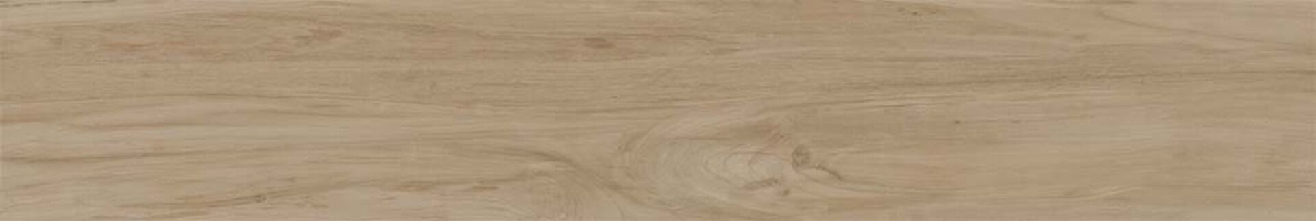 Alessandria Arce 19.5x120x0.9 Prissmacer фото 4