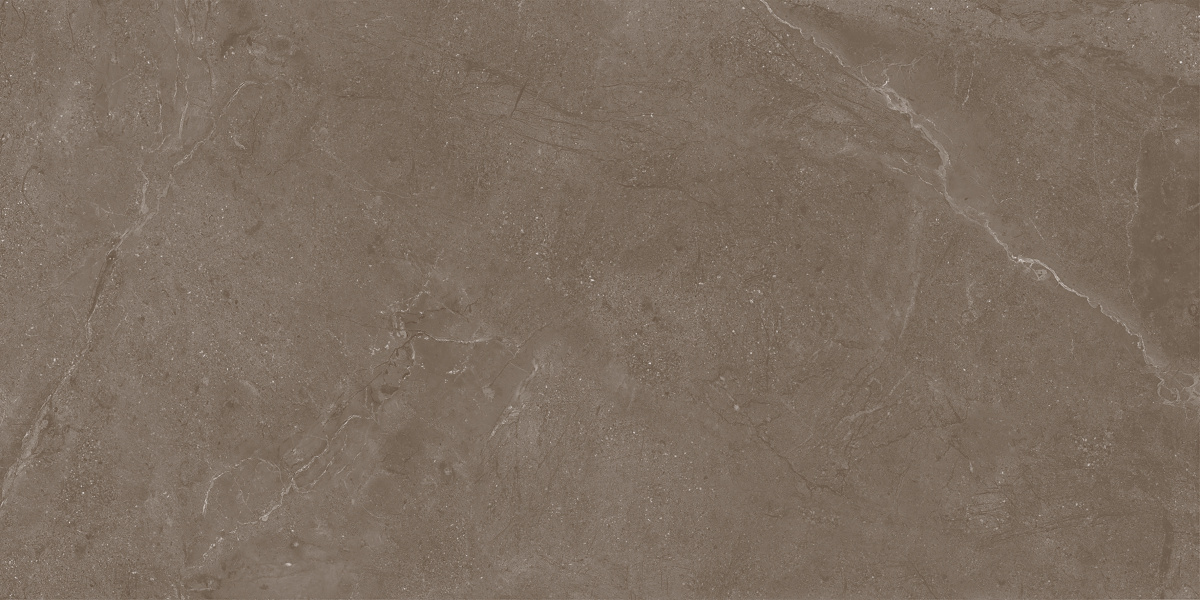 Нобл Мокка ПРО коричневый матовый структурный R11/A Бархат КР 60х120 Laparet фото 8