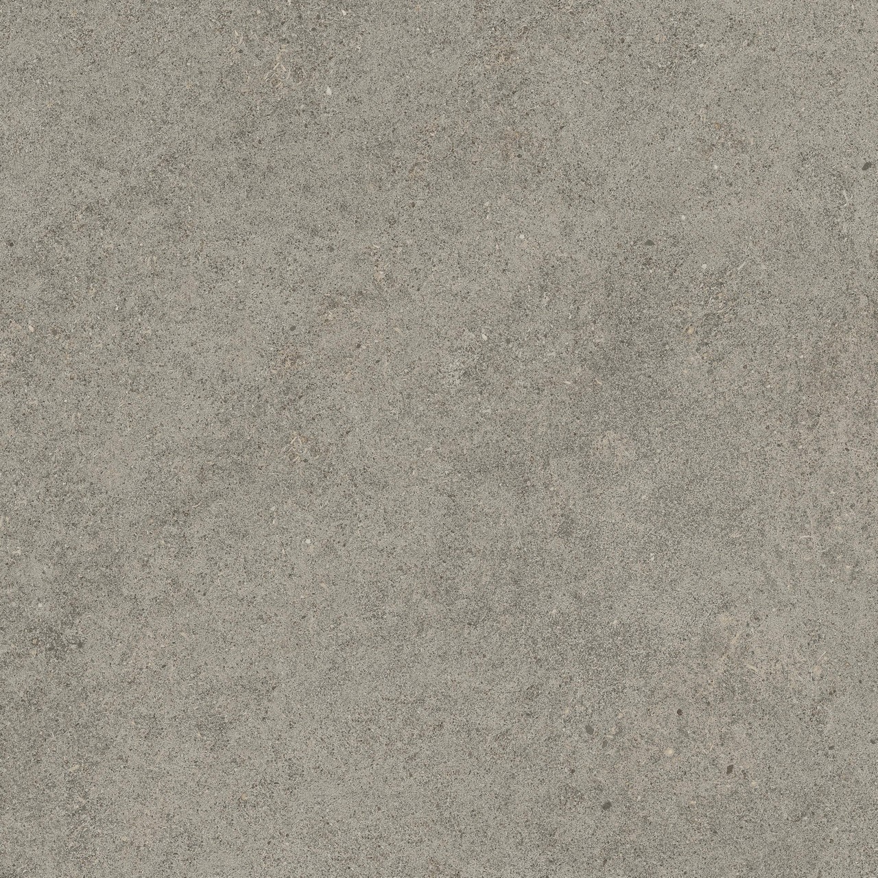 610010005836 Forte dei Marmi Rock Lunar Grey Lastra 20mm 60x60 Atlas Concorde Russia