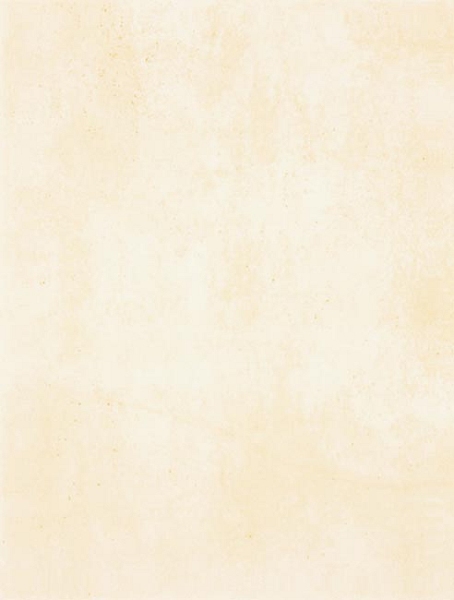 WATKB230 PATINA light beige 25x33 RAKO