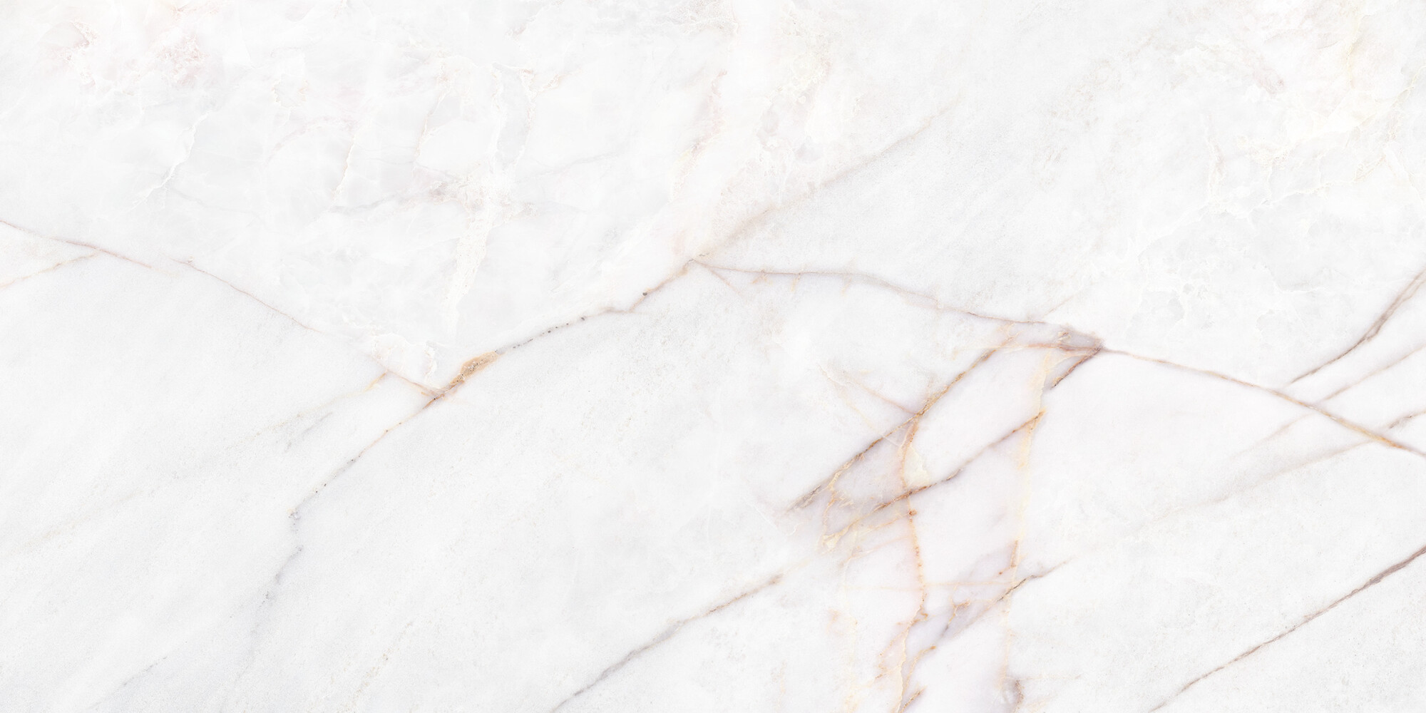 39493 Dahlia White EP 60х120 Peronda фото 8