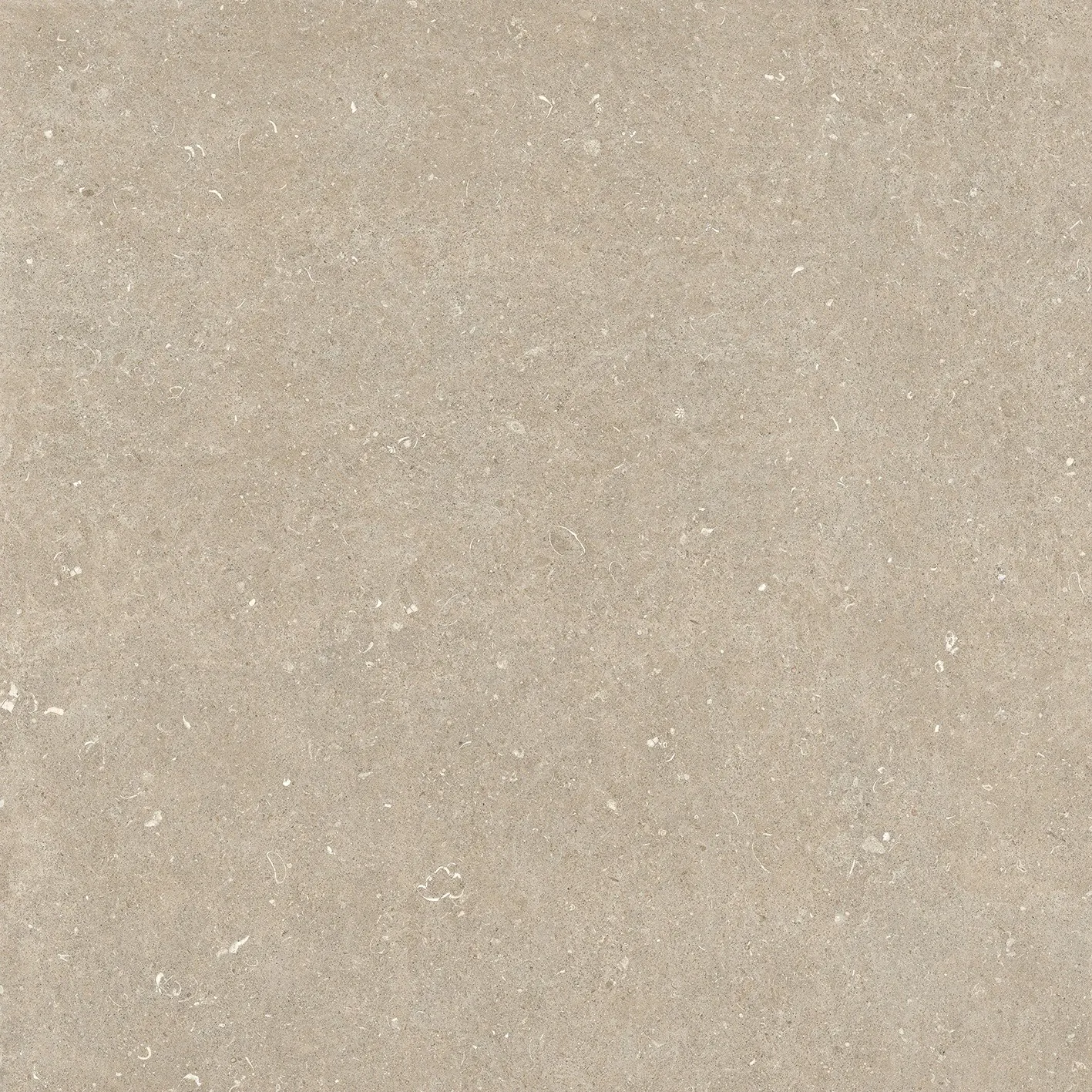 785579 Rinascenza Arena Conchiglia Matte 6mm 120x120 Casa Dolce Casa