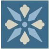 050N006D021 ENC06 Fleur 21 (BEP, BAU, BEN) 5x5 Winckelmans